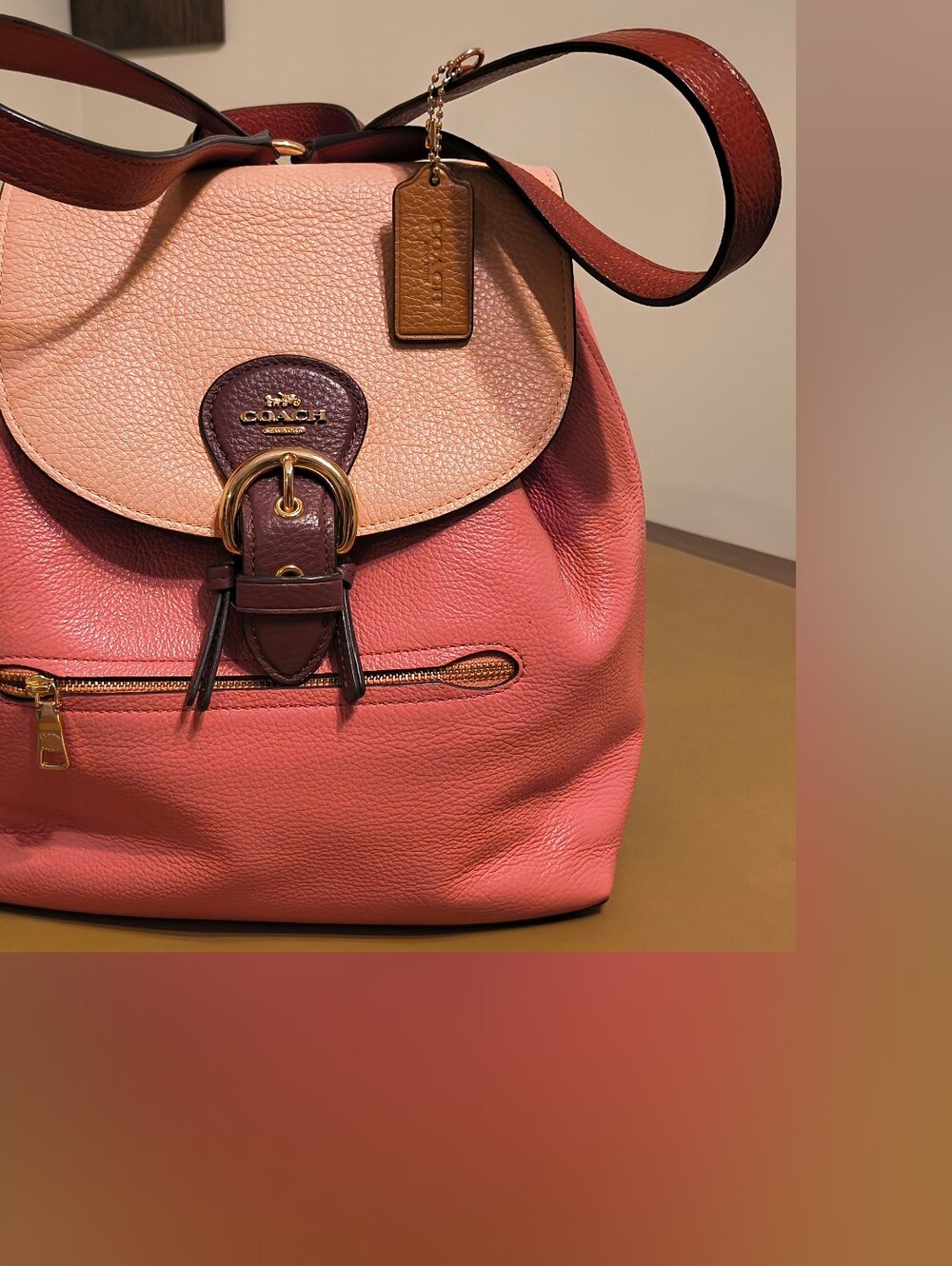 NWT Coach Colorblock Pebbled Leather Drawstring Backpack in Pink, Blush & Brown